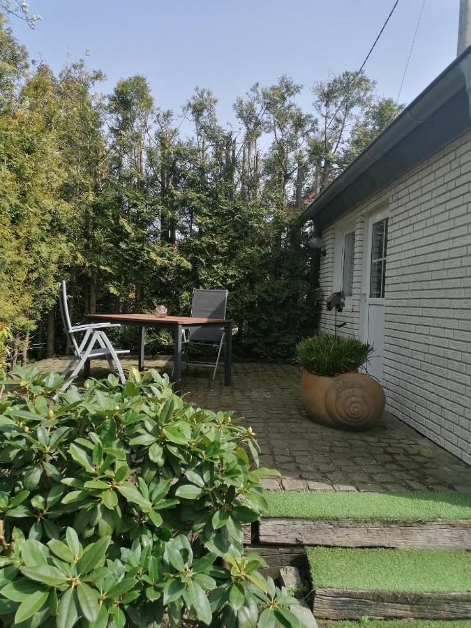 25Qm Grosses Ferienhaeuschen " Der Hengstall" Auf Unserem Reiterhof Birkenbeul Buitenkant foto